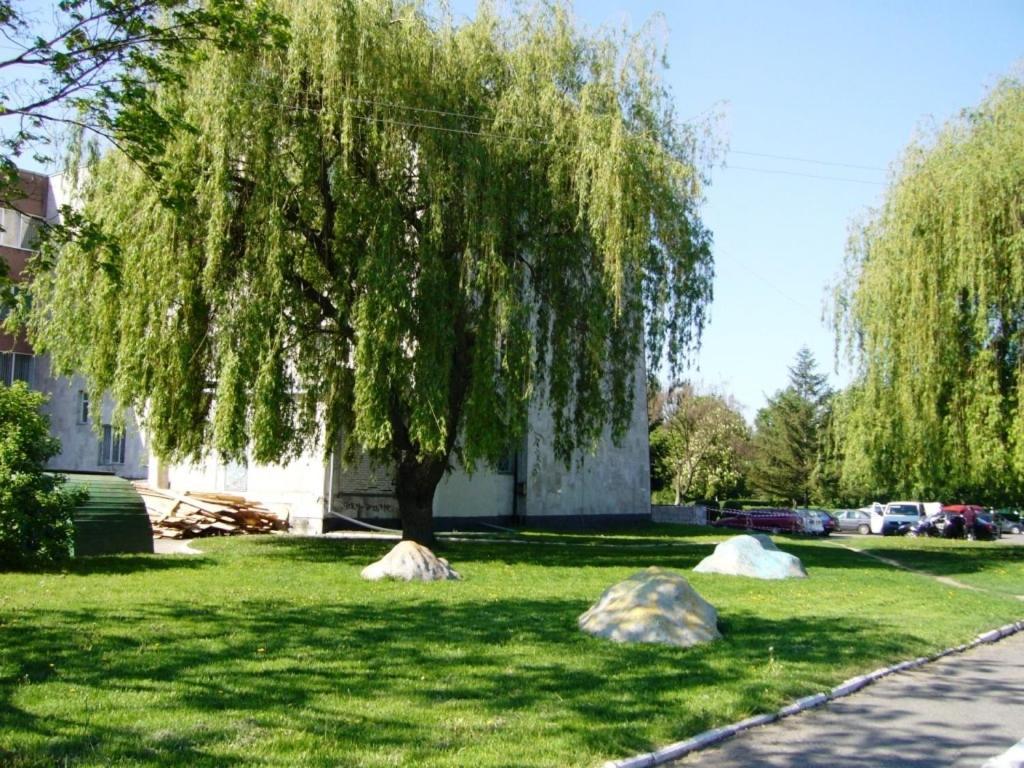 Hotel Profspilkovyi Lutsk Exterior photo